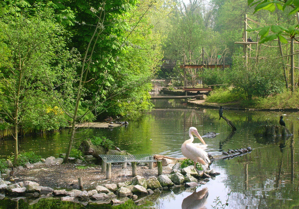 Zoo de Lille