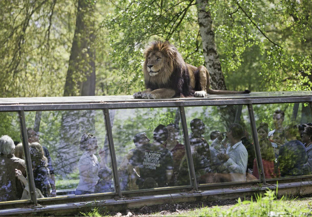 ZooSafari de Thoiry