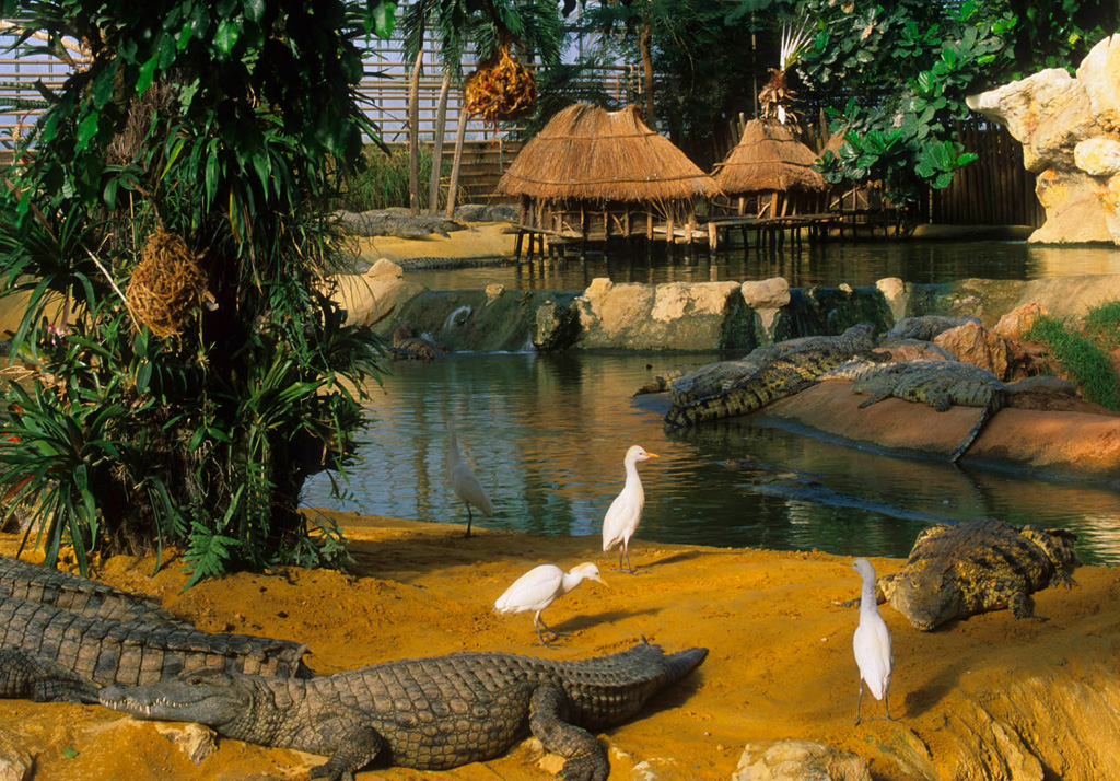 Ferme aux crocodiles