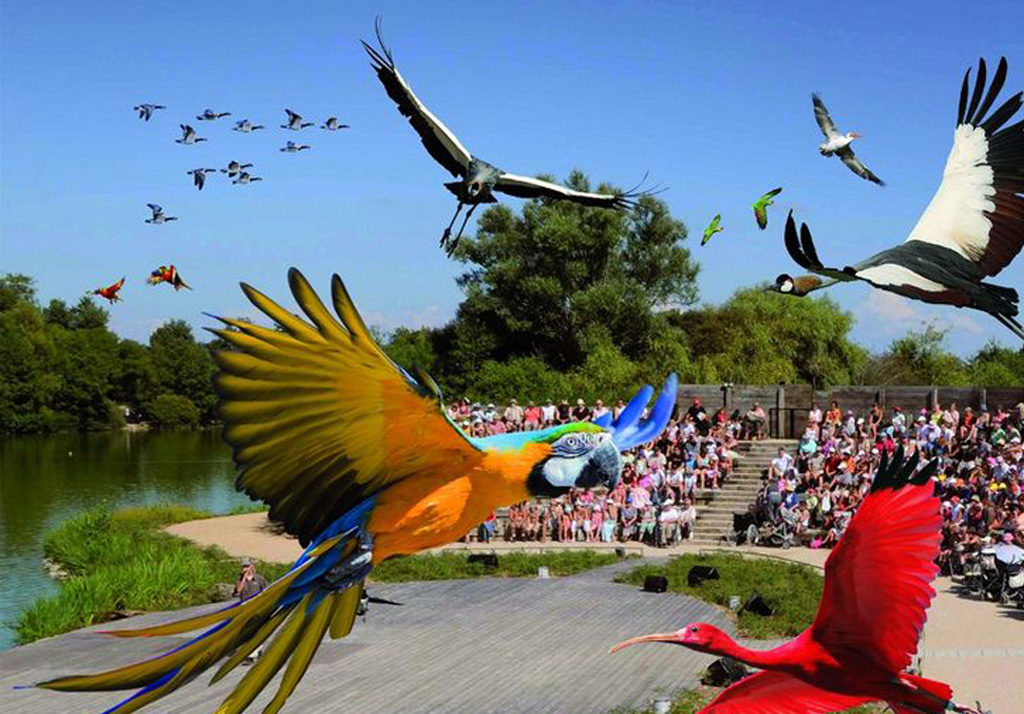 Le Parc des Oiseaux