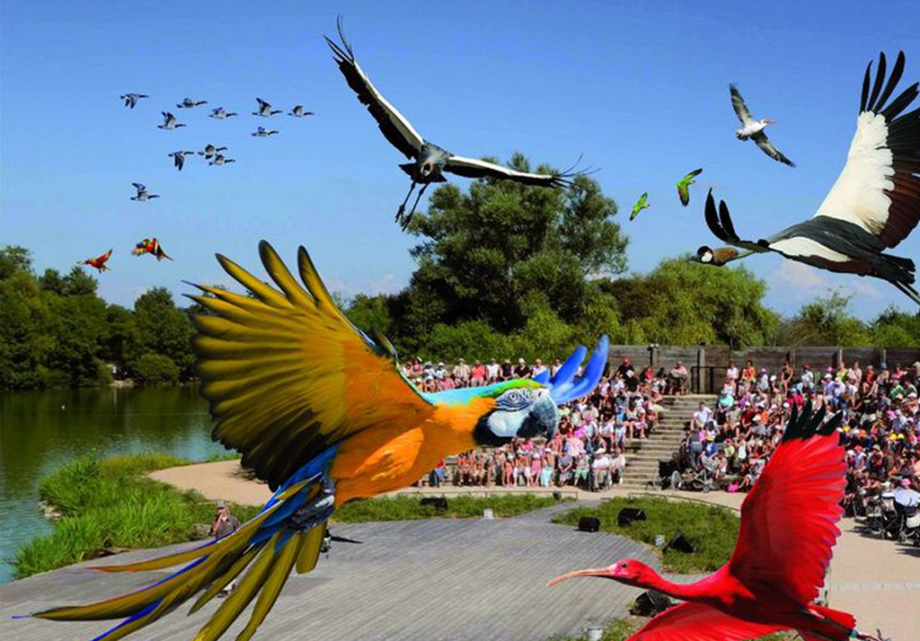 Le Parc des Oiseaux