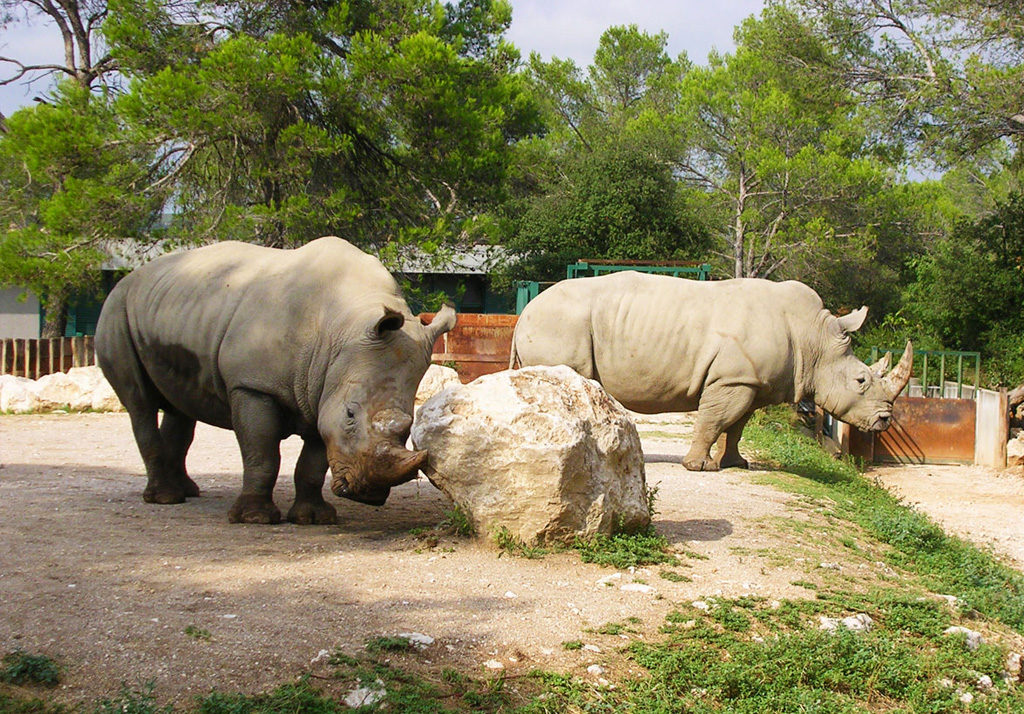 Zoo de Montpellier