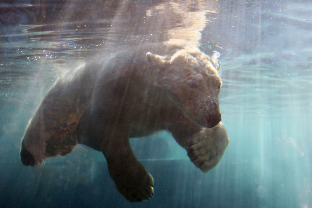 Zoo de Mulhouse