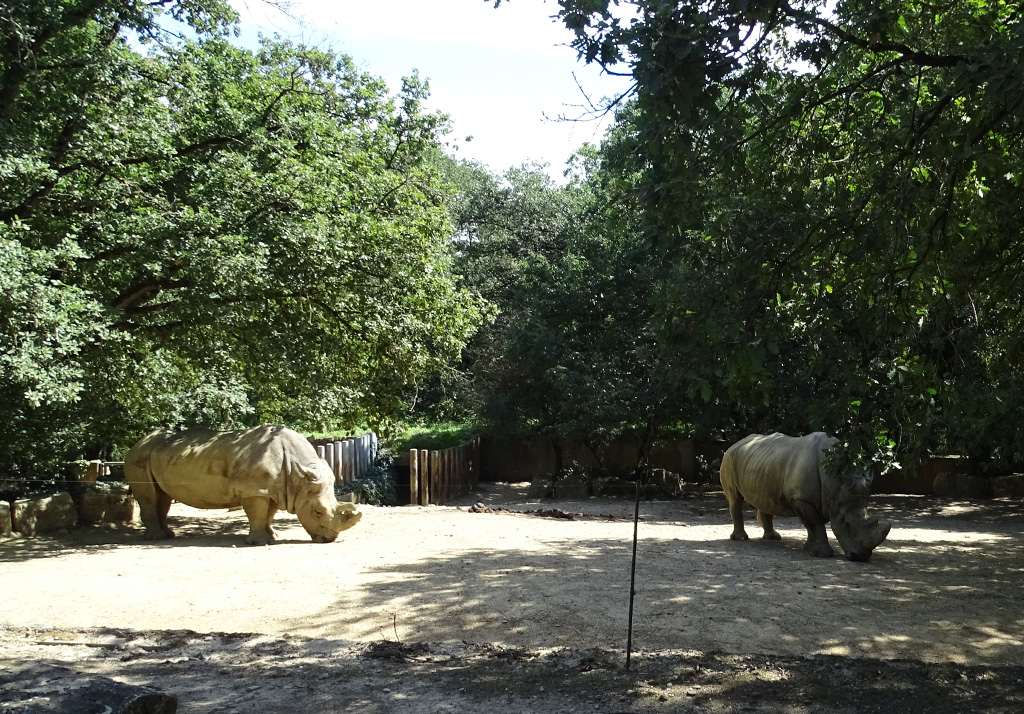 zoo african safari plaisance