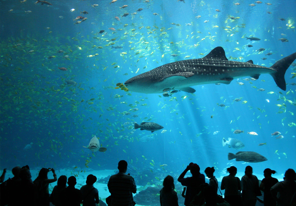 Grand Aquarium de Saint-Malo
