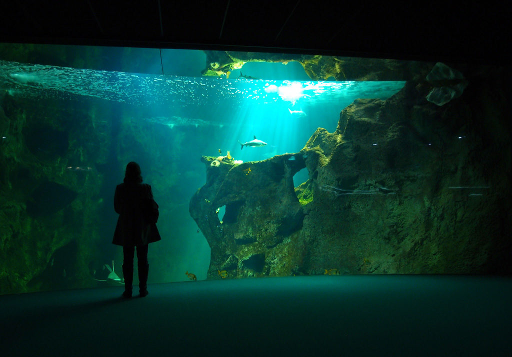 Aquarium de La Rochelle