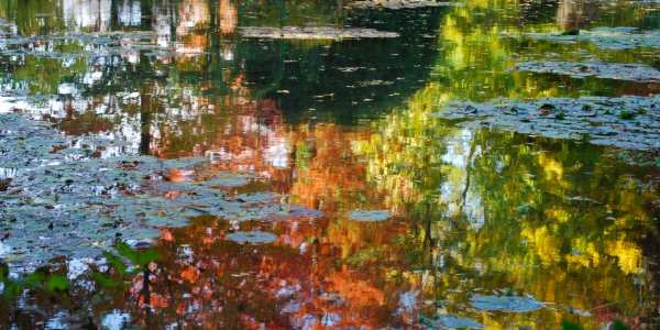 Giverny et les jardins de Claude Monet