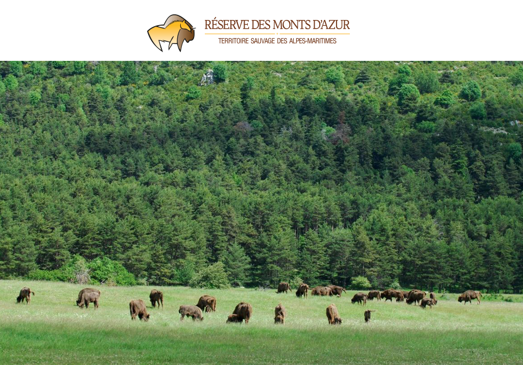 Réserve des Monts d’Azur