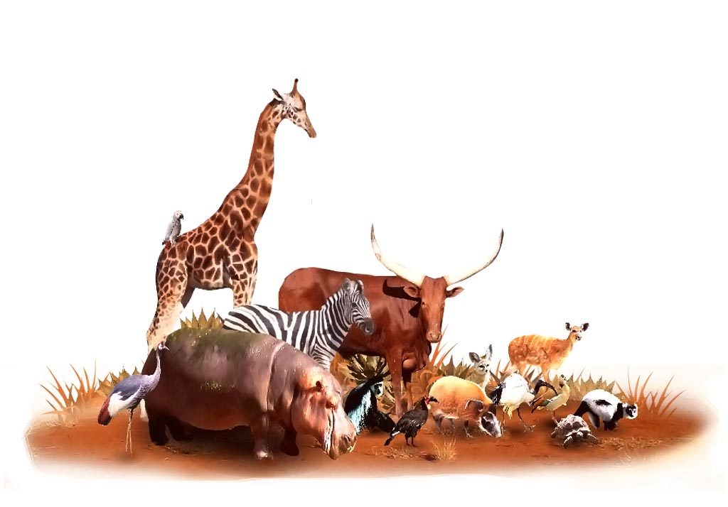 Zoo de Maubeuge