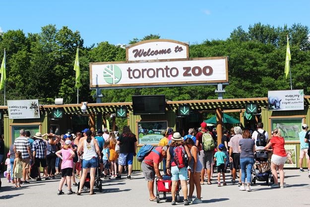 Zoo de Toronto