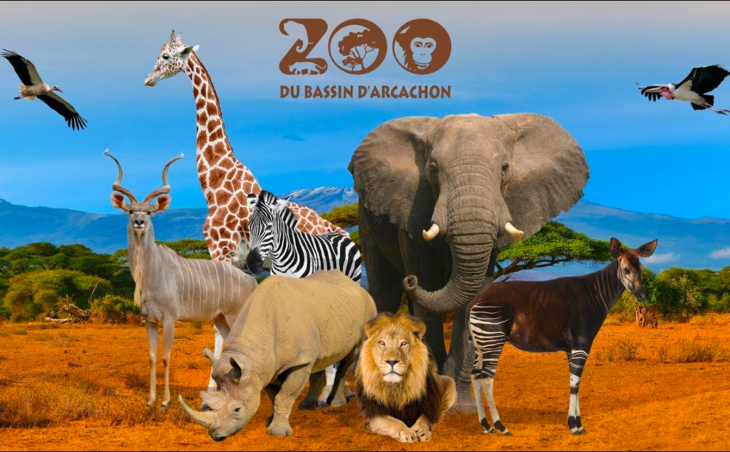 Zoo du Bassin d'Arcachon