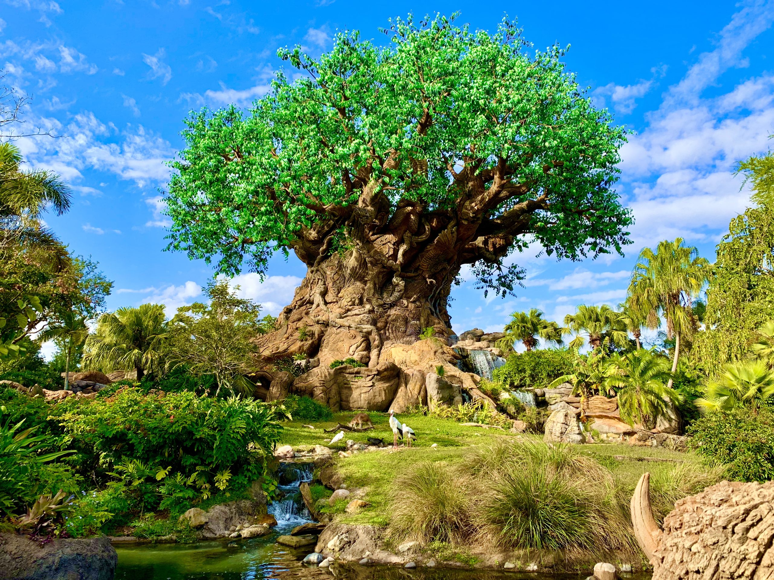 Le Tree of Life, symbole de Disney's Animal Kingdom