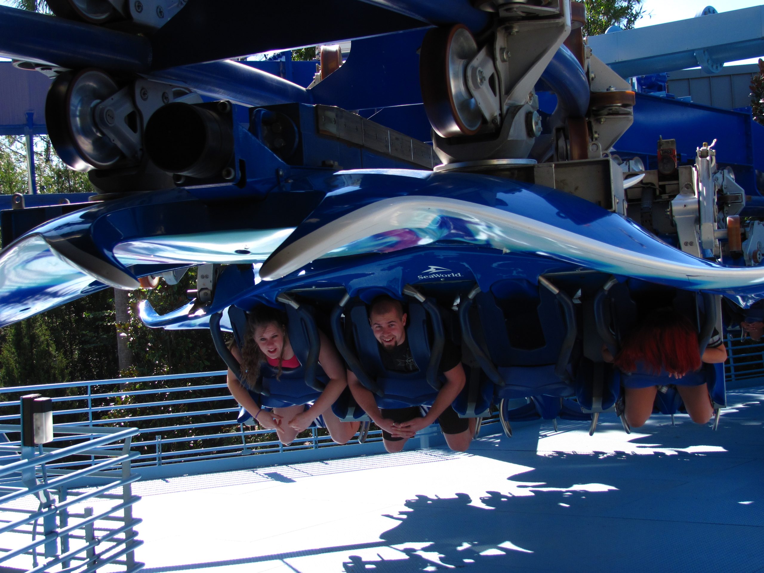 Le coaster Manta en position « flying » à SeaWorld Orlando