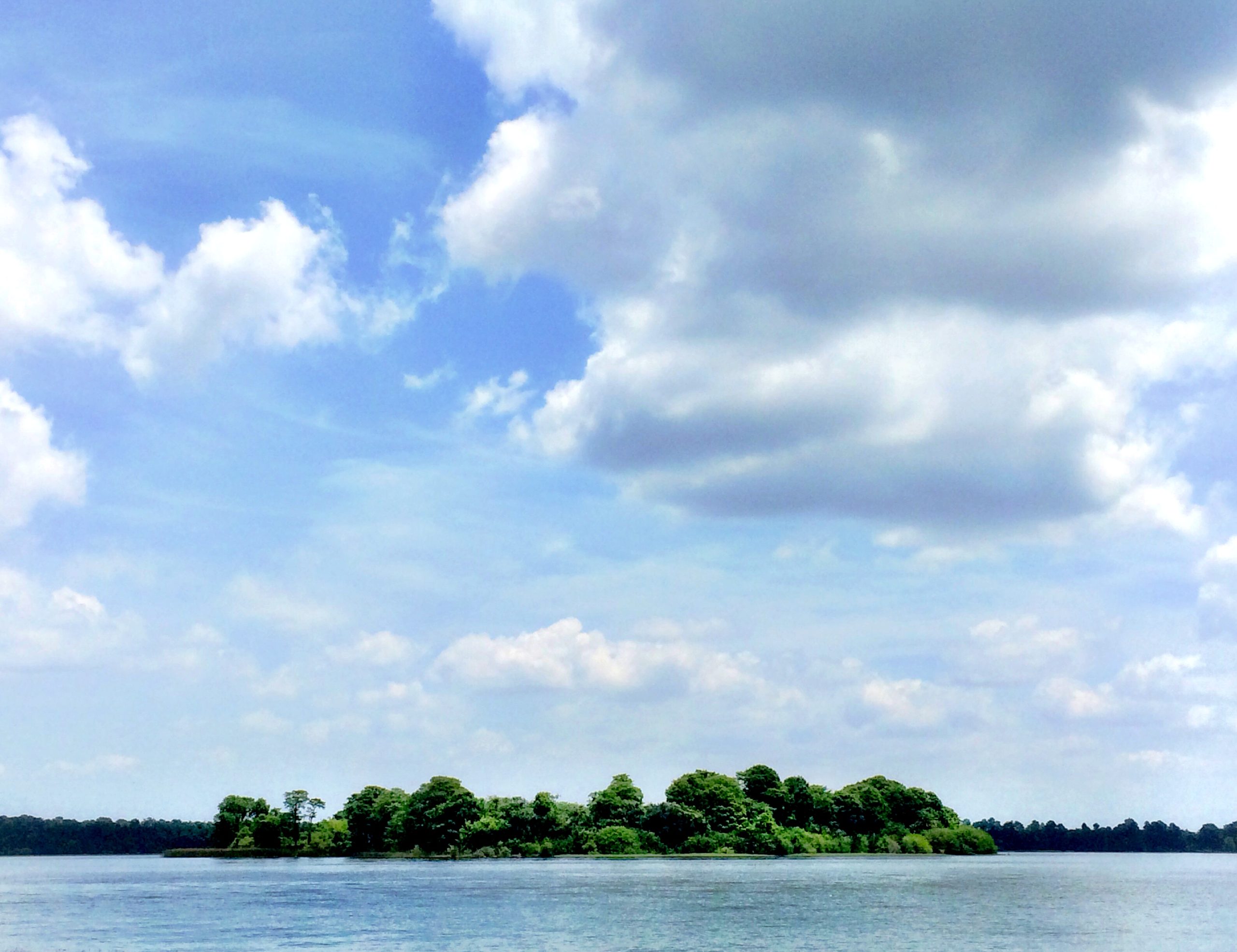 Discovery Island, île abandonnée à Walt Disney World