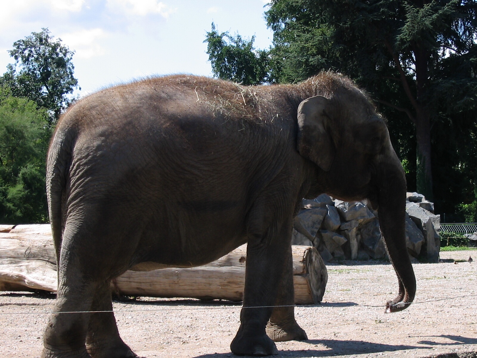 Zoo de Lyon