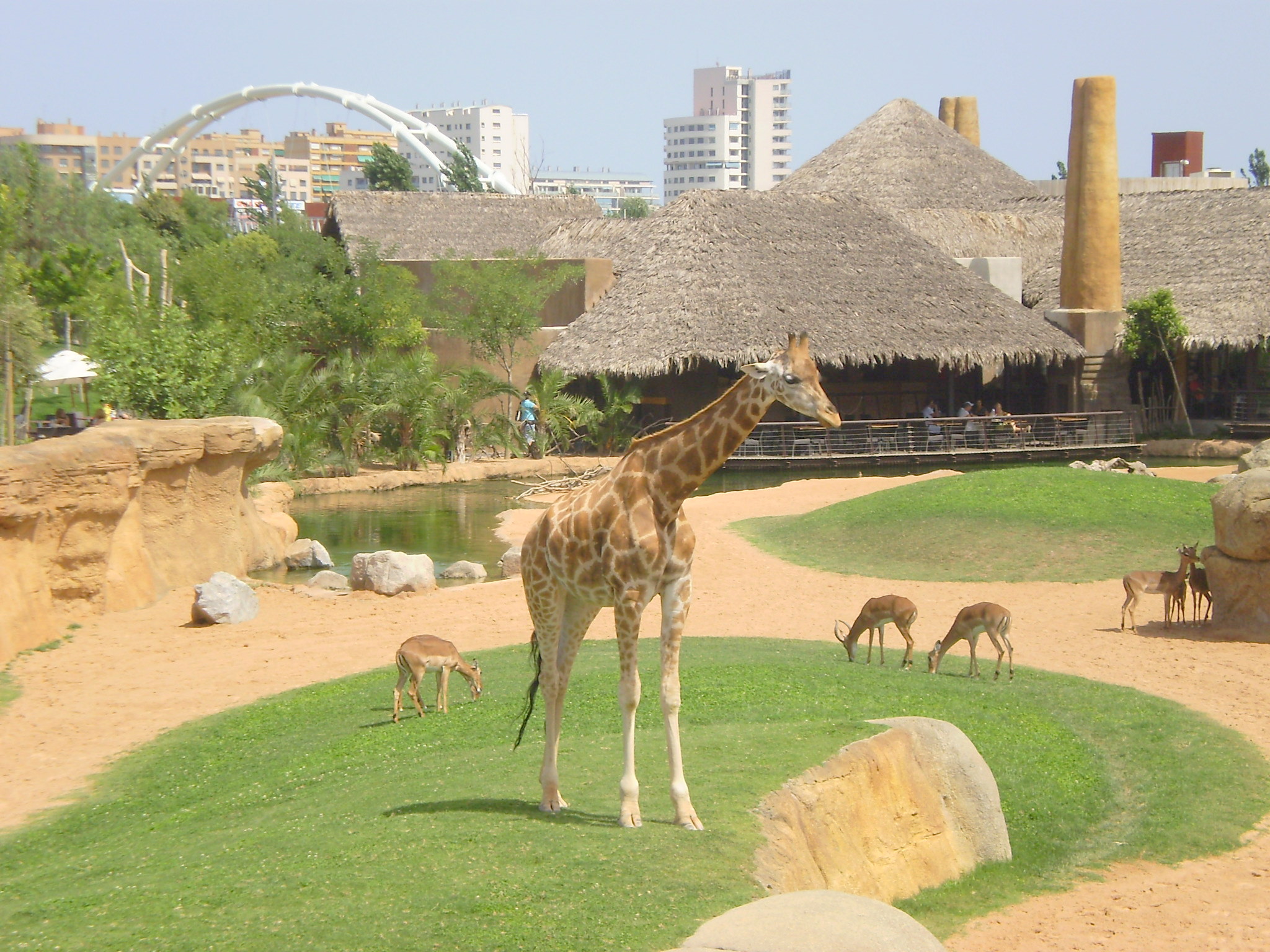 Le Bioparc de Valence en Espagne