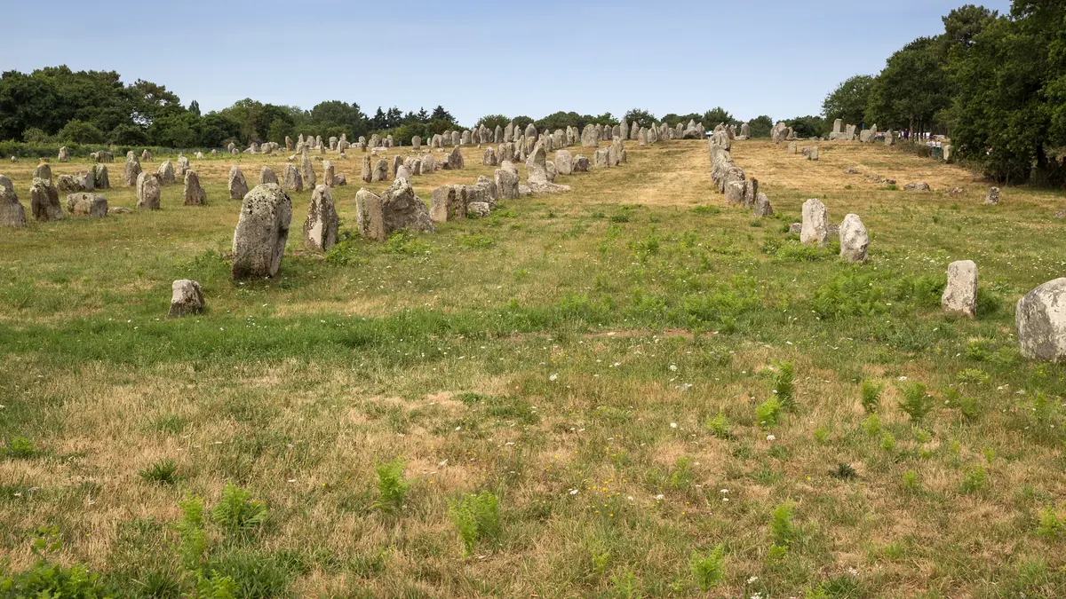 Alignements de menhirs de Kermario à Carnac